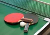 Table Tennis 535x350