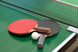 Table Tennis 535x350