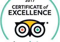 2017 Coe Logos Api 283x286 En Us Uk 2017 Coe Logos Api 283x286 En Us Uk