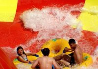 Wetnwild Sydney V1 Wetnwild Sydney V1